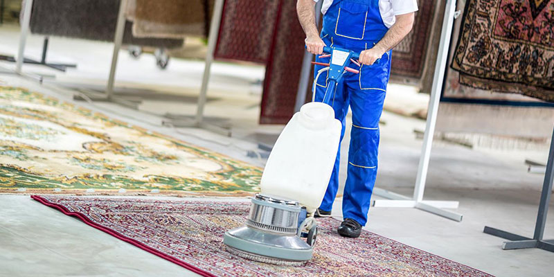 Şifne Halı Yıkama